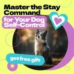 Master the Stay Command for Your Dog Self-Control – How to Teach Dog to Stay Guide, Dog Training eBook, Obedience Training Checklist, Positive Reinforcement Manual