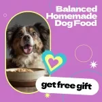 Balanced Homemade Dog Food eBook – How to Make Homemade Dog Food Balanced Guide for Healthy, Nutritious Meals