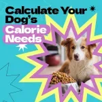 Calculate Your Dog’s Calorie Needs – Printable Checklist Guide for Pet Owners | How to Calculate Dog Calorie Needs Easily at Home