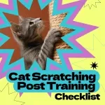 Cat Scratching Post Training Checklist | how to train cat to use scratching post Guide | Easy Cat Training Digital Download for Furniture Protection & Happy Cats
