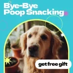 Bye-Bye Poop Snacking: A Fun Checklist to Stop Your Dog – Easy Training Guide for Pet Owners | how to stop dog from eating poop Printable Digital Download