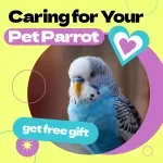 Caring for Your Pet Parrot – Ultimate Guide on how to care for pet parrot | Beginner-Friendly eBook, Parrot Care Checklist, Nutrition, Training & Habitat Setup