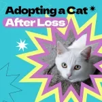 Healing Paws: Adopting a Cat After Loss – A Compassionate Guide on how to adopt a cat after loss, Emotional Healing & Finding the Right Feline Companion