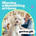 Shaving a Matted Dog at Home Checklist – Step-by-Step Guide for Pet Owners | how to shave matted dog at home Safely & Stress-Free