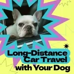 Long-Distance Car Travel with Your Dog – Complete Ebook Guide on how to travel with dog in car long distance, Road Trip Planning, Dog-Friendly Travel Checklist, Stress-Free Pet Journey