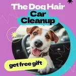 The Dog Hair Car Cleanup Checklist – How to Remove Dog Hair from Car Fast | Printable Pet Hair Removal Guide, Easy Car Cleaning Routine for Dog Owners
