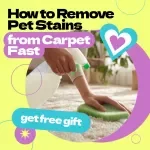 How to Remove Pet Stains from Carpet Fast – Printable Checklist Guide | Easy Step-by-Step Solution for Pet Owners | Instant Digital Download