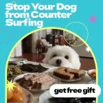 Stop Your Dog From Counter Surfing Checklist – How to Stop Dog from Counter Surfing Fast, Easy Training Guide for Dogs, Kitchen Behavior Fix, Printable Dog Training Tool