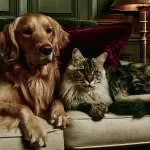 The Everyday Pet Wellness Handbook