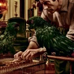 Cage Cleaning & Maintenance Checklist