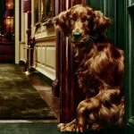Raising a Well-Mannered Dog
