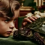 Care for a Pet Turtle Calmly