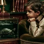 Life with a Pet Turtle