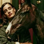 The Horse Care Handbook