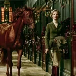 Care For A Horse With Confidence