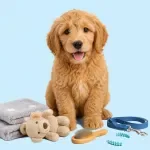 New Puppy Supplies Checklist
