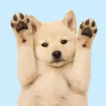 Nail Trimming Checklist