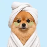 Bathing Supplies Checklist