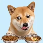Introducing New Foods Gradually