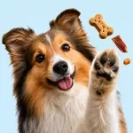 Choosing Treats and Snacks Wisely