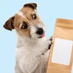 Understanding Dog Food Labels