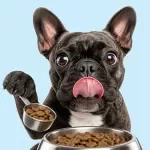 Portion Planning Checklist