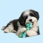 Reducing Unwanted Chewing