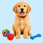 The New Puppy Handbook