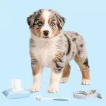 Puppy Wellness Milestones Checklist