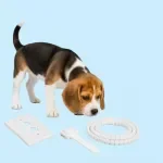 Puppy-Proofing Your Home Checklist