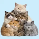 Harmony in a Multi Cat Home