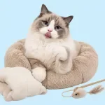 Creating the Perfect Cat Space