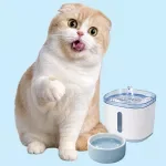 Simple Cat Hydration Tips
