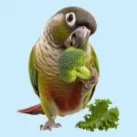 Bird Safe Produce