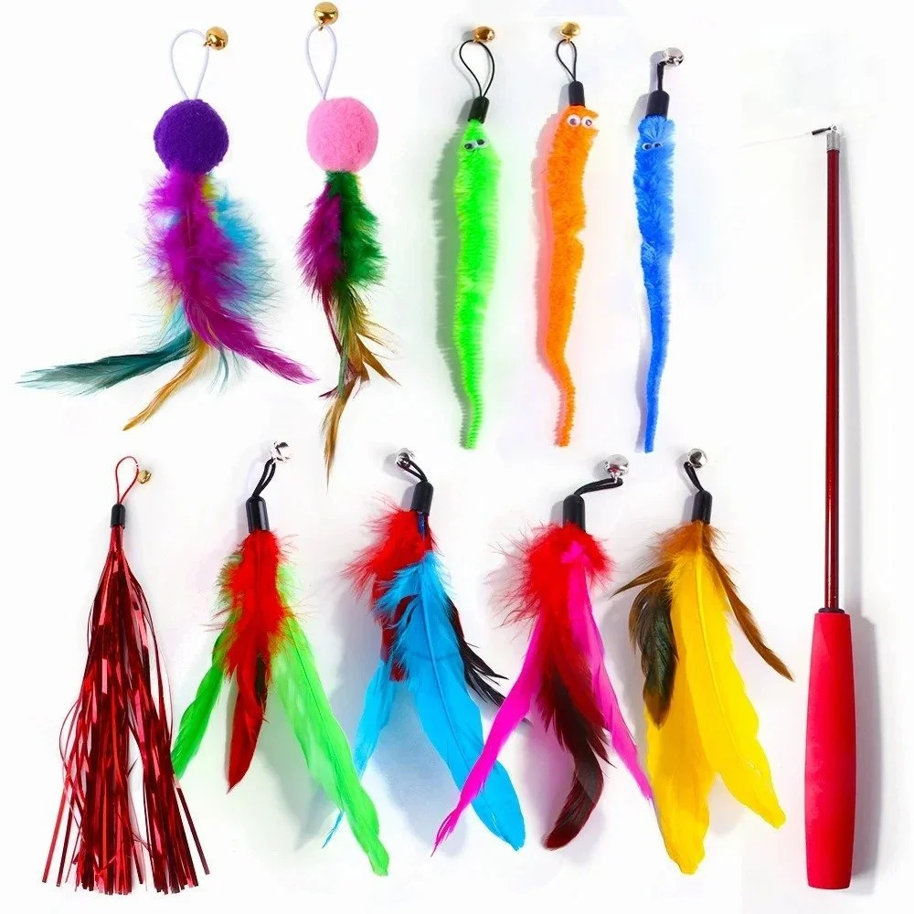 Interactive Feather Cat Toy with Tassel and Retractable Fishing Rod