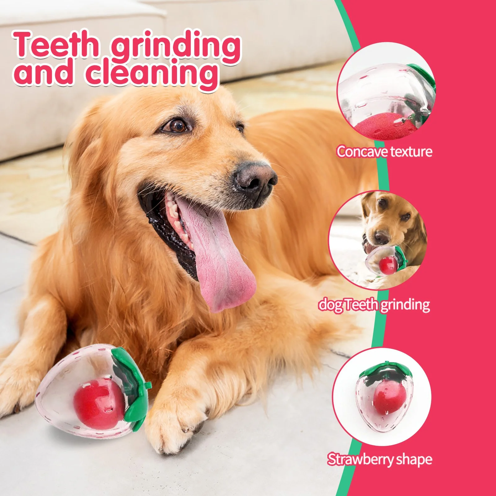 Strawberry Squeaky Dog Toy