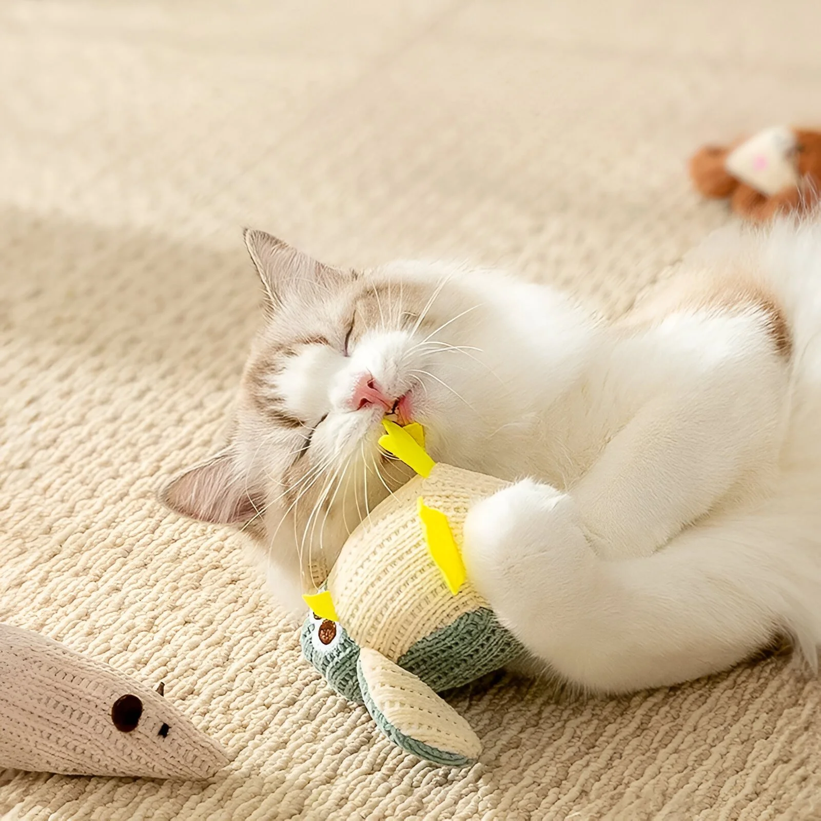 Cute Penguin Cat Teasing Stick