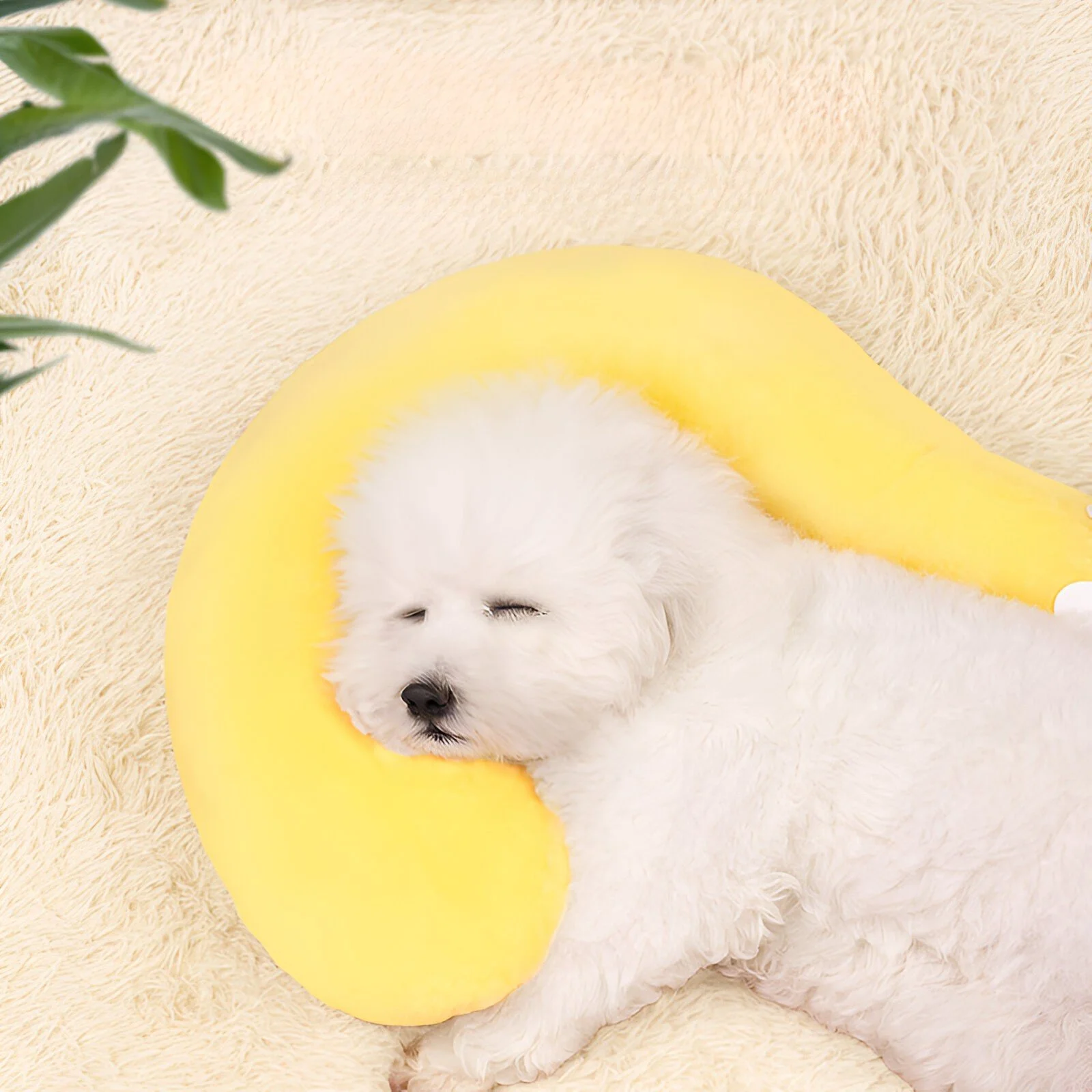 Cozy Question-Mark Pet Pillow Bed